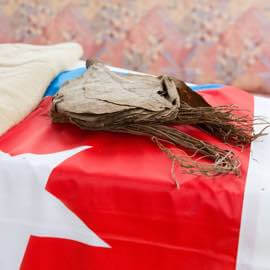 Foto von einem Stapel von Tabakblättern