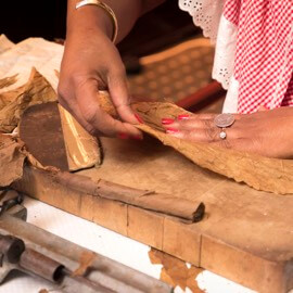 Glatt streichen eines Tabakblattes auf dem Arbeitstisch vor dem Rollen