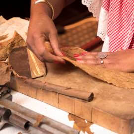 Neues getrocknetes Tabakblatt wird auf dem Bearbeitungstisch ausgebreitet