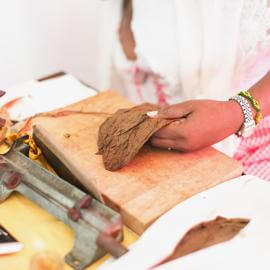 Tabakblatt vor der Bearbeitung