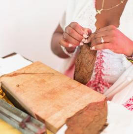 Vom Tabakblatt werden Fasern abgetrennt vor dem drehen der Zigarre