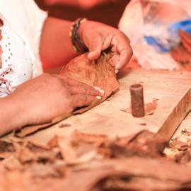 Vorbereitung des tabakblattes, um die Endung einer neuen Zigarre auszuschneiden