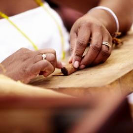 Zigarrenrollerin bklebt das gerollte Tabakblatt an