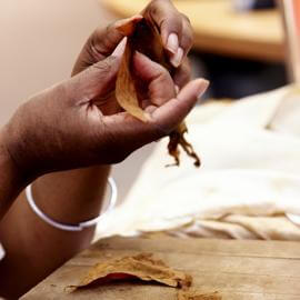 Rollen des Deckblattes um eine Zigarre per Hand