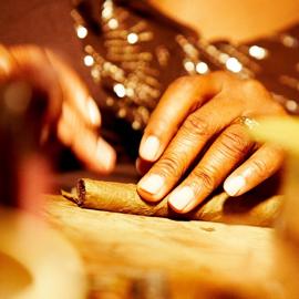 Impression vom schneiden der enden bei einer neu gerollten Zigarre