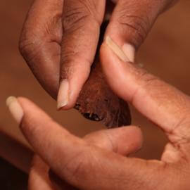 Ein Tabakblatt wird um die Zigarre gewickelt