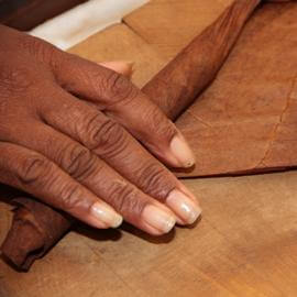 Eine Hand dreht das Blatt um die Zigarre, die andere streckt den rest des Tabakblattes