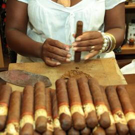 Zigarrenherstellung im Laden mit vielen fertigen Zigarren