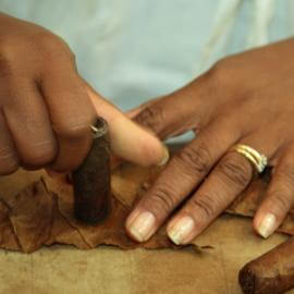 Herstellun einer Zigarre