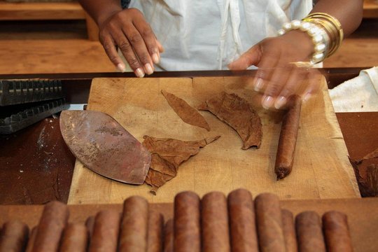 Herstellung von kubanischen Zigarren in einer Zigarren-Manufaktur