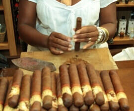 Stapel von frisch gedrehten kubanischen Zigarren auf dem Tisch der zigarrendreherin